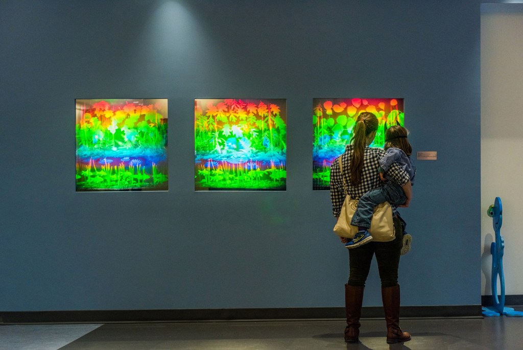 Betsy Connors Holography Light Pond and the Secret Garden
