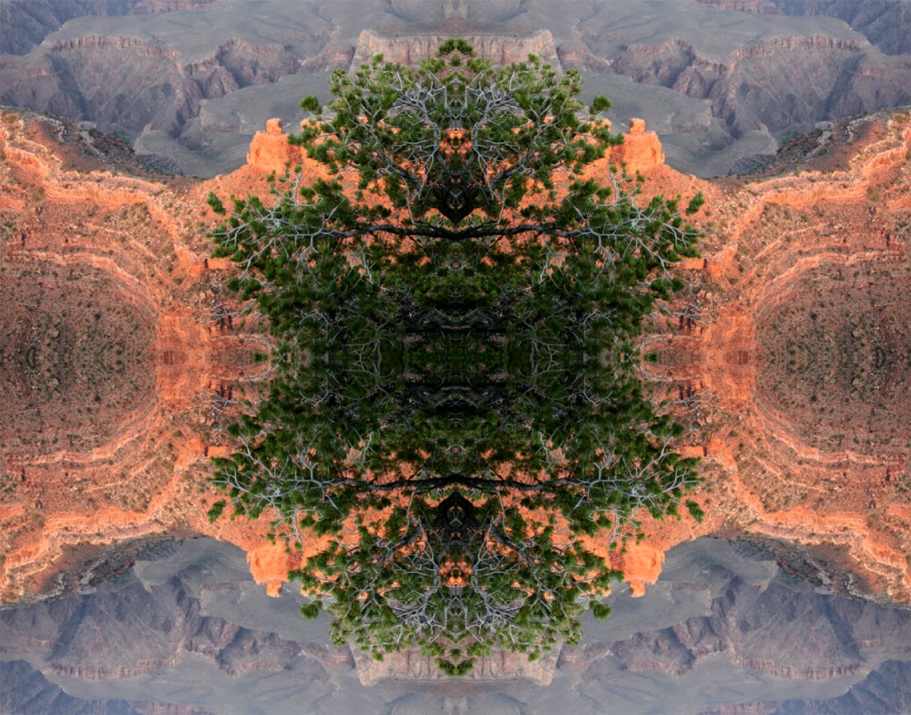 Betsy Connors Acme Holography Photography Desert Preserve and Protect