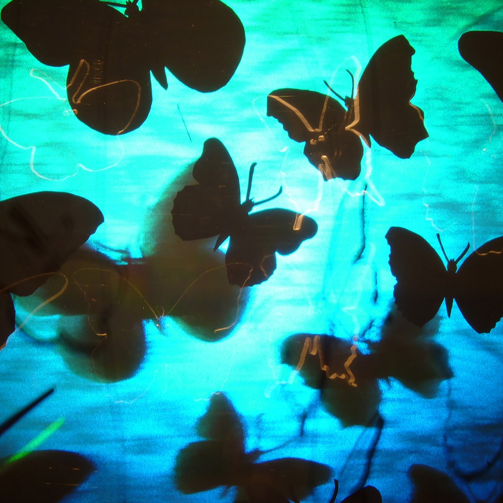 Betsy Connors Holography Flutterbys