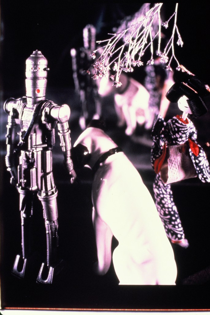 Betsy Connors Acme Holography Photography Polaroid Prints