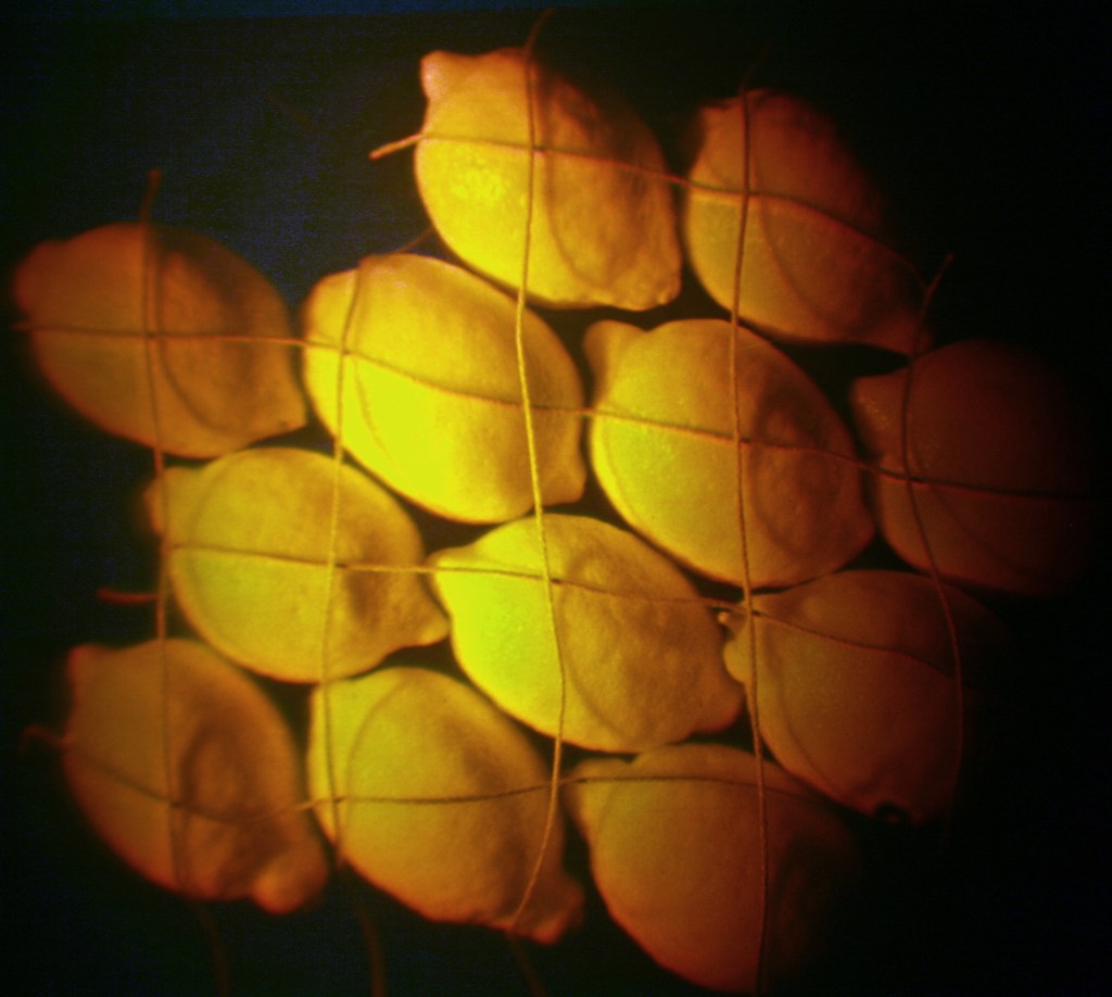 Betsy Connors Holography Still Life Fruit Lemon