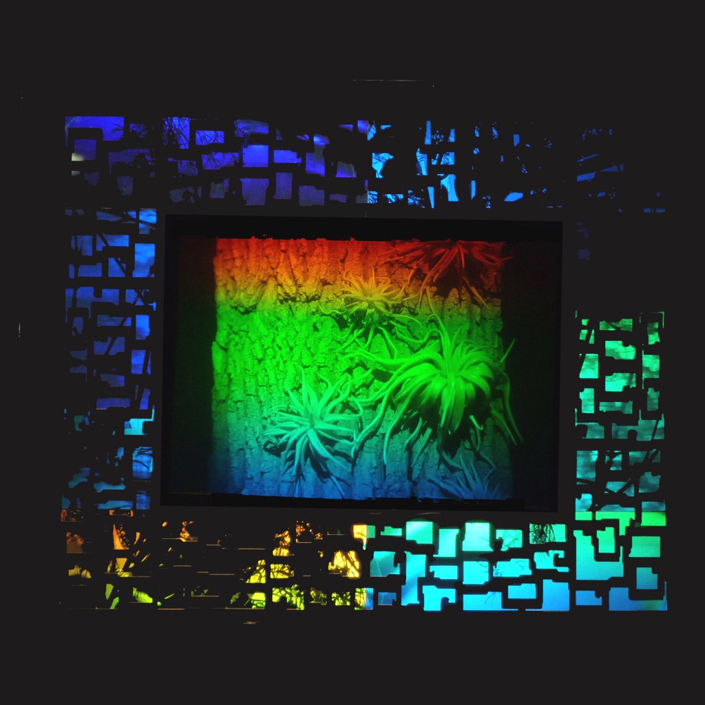 Betsy Connors Holography Chinese Window