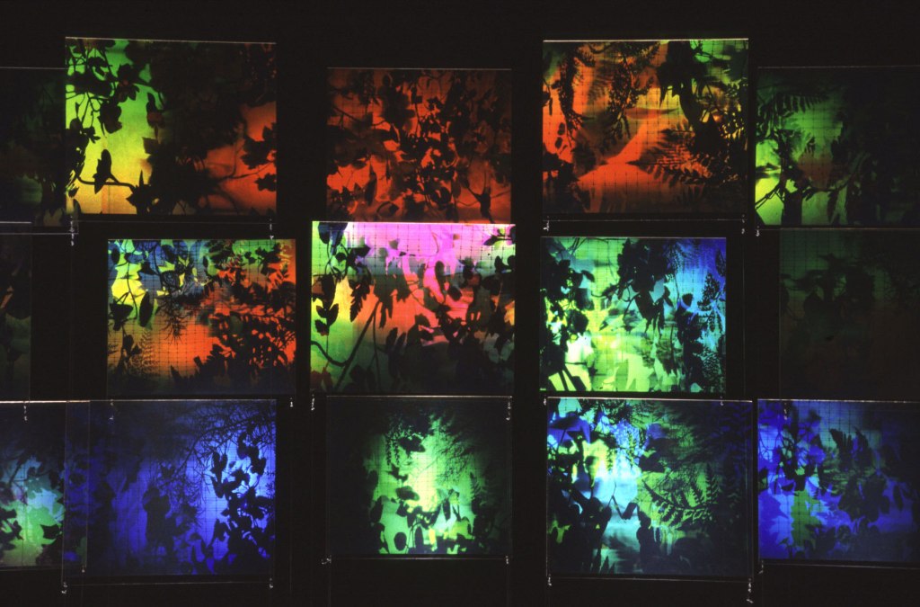 Betsy Connors Acme Holography Light Garden Installation