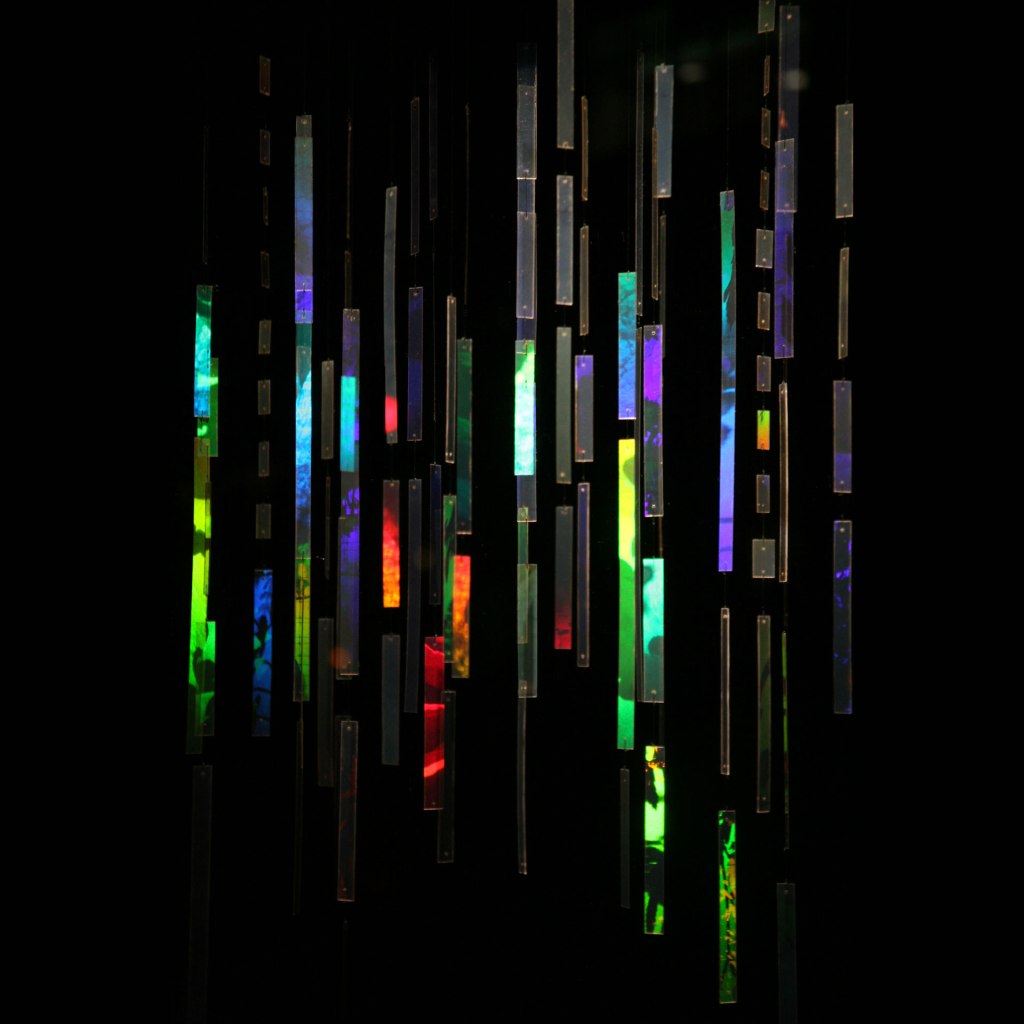 Betsy Connors Acme Holography Light Rain