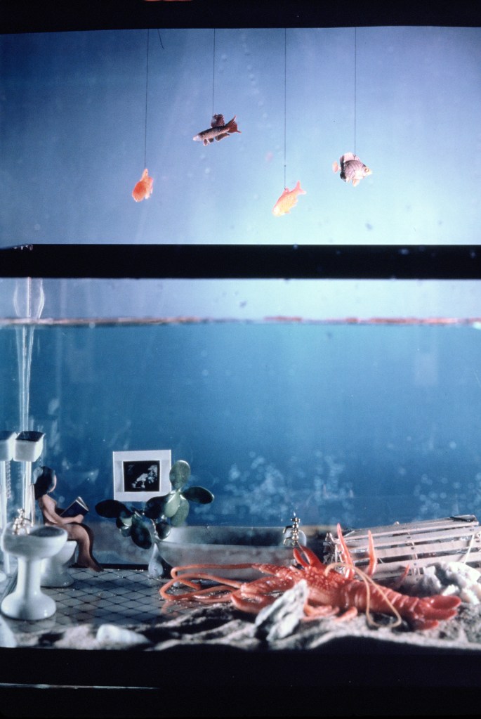 Betsy Connors Acme Holography Photography Polaroid Prints