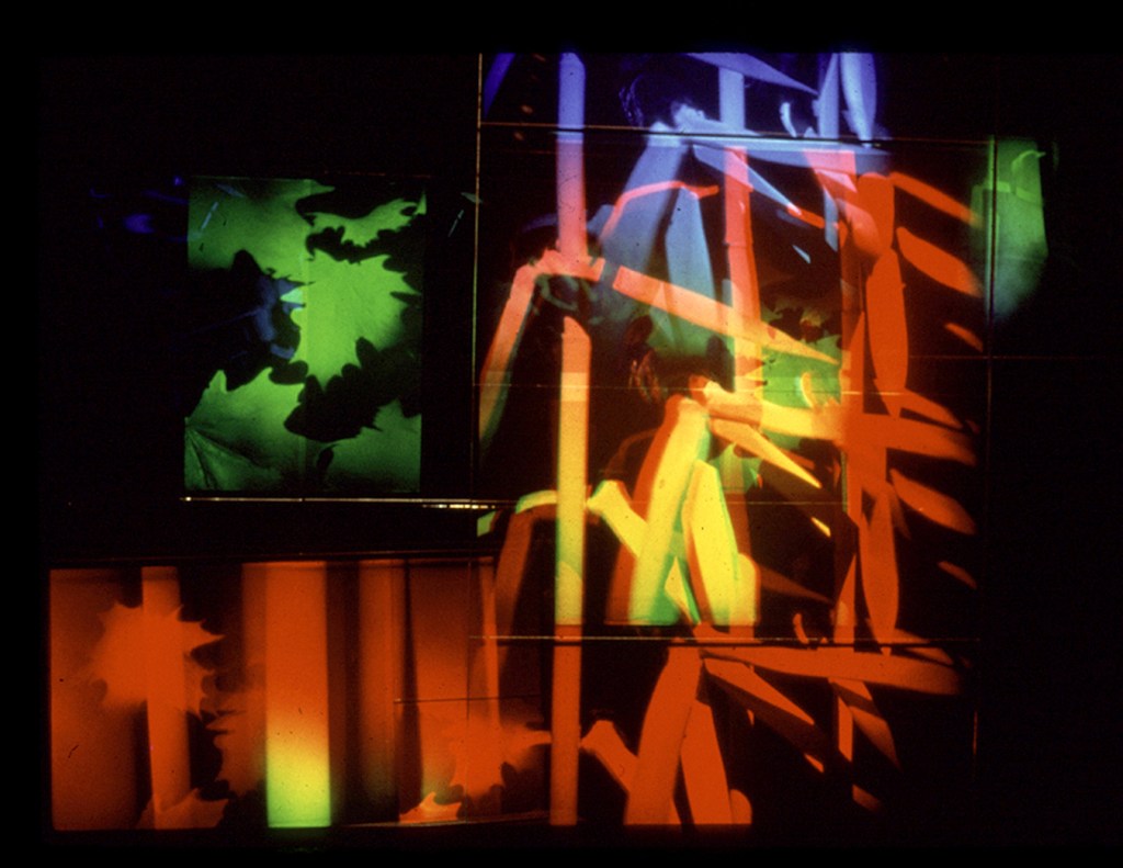 Betsy Connors Holography Future Gardens