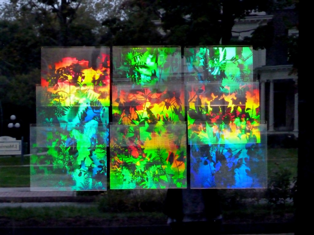 Betsy Connors Acme Holography Light Garden