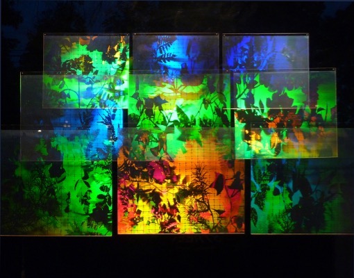 Betsy Connors Acme Holography Light Garden