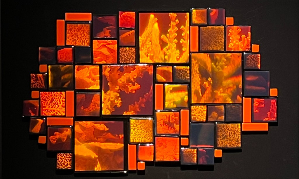 Betsy Connors Acme Holography Light Reef