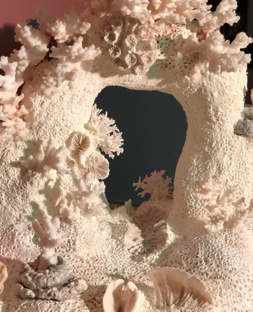 Betsy Connors Acme Holography Light Reef