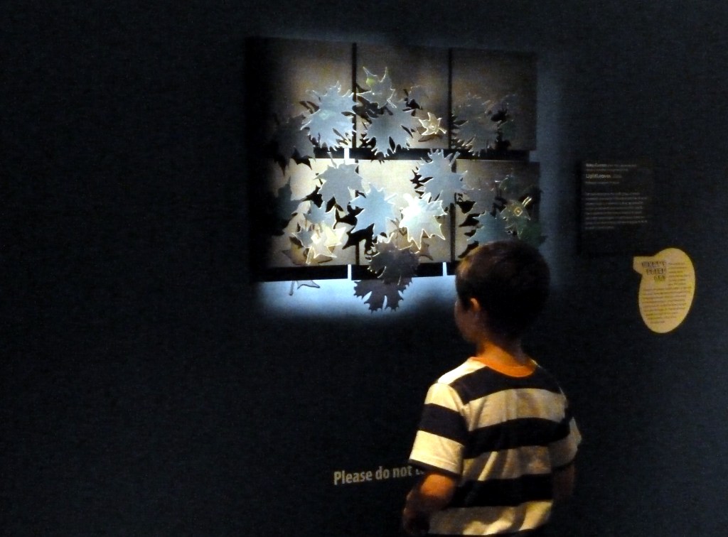 Betsy Connors Acme Holography Light Leaves