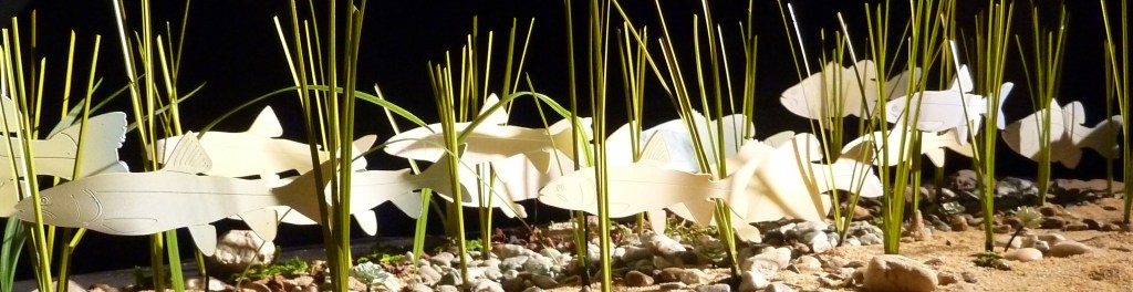 Betsy Connors Holography Light Pond and the Secret Garden