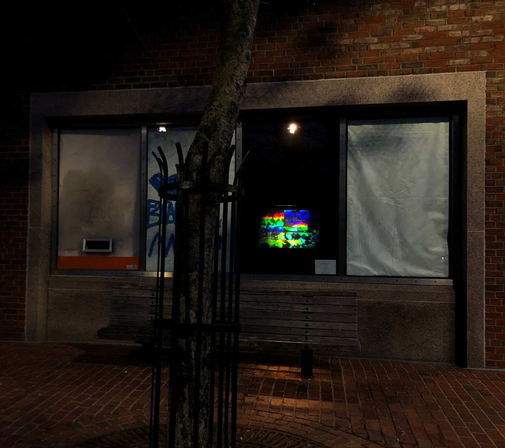 Betsy Connors Acme Holography Light Spring Turtle's Garden Installation