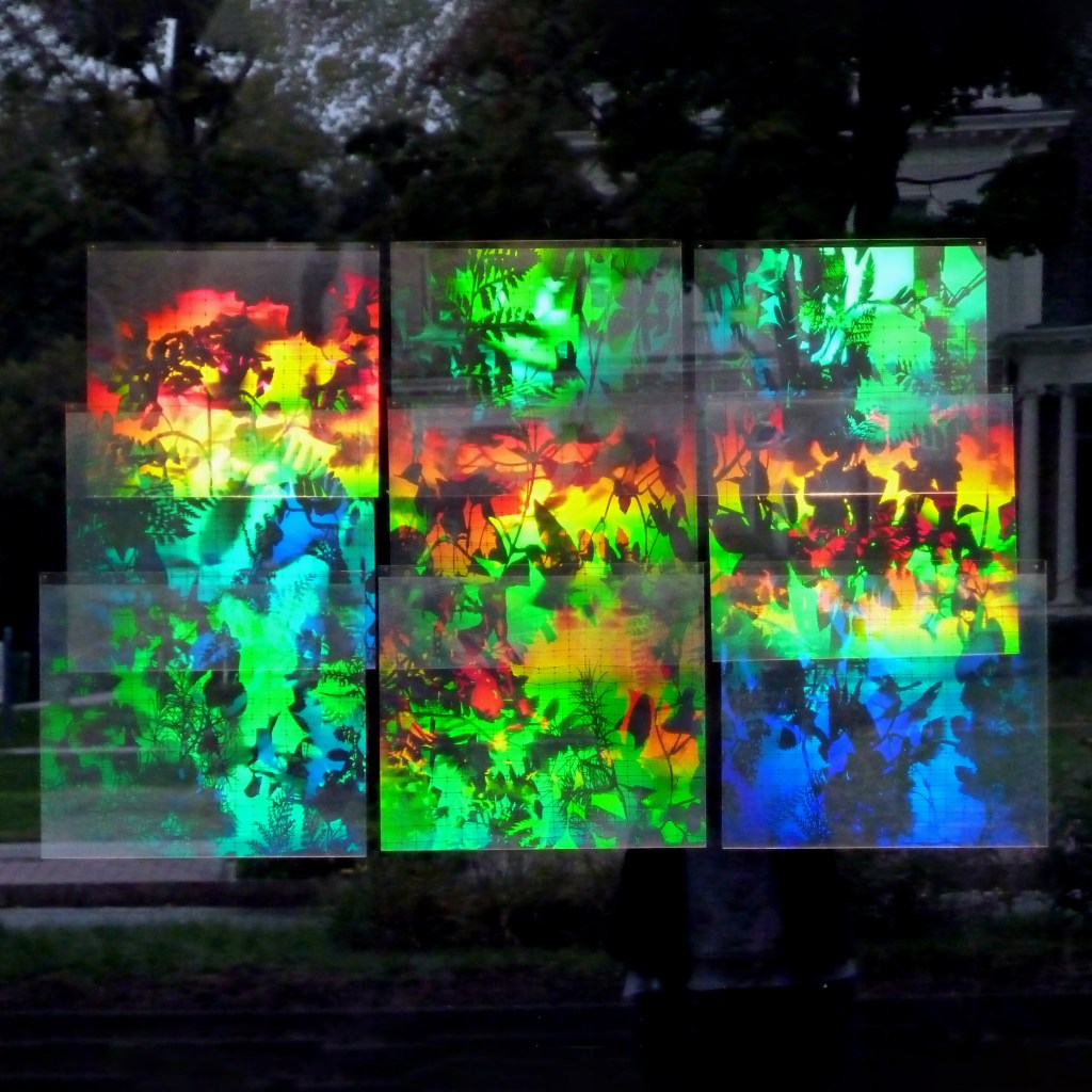 Betsy Connors Acme Holography Light Garden Installation