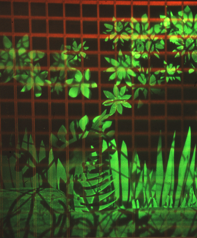 Betsy Connors Holography Virtual Garden Installation