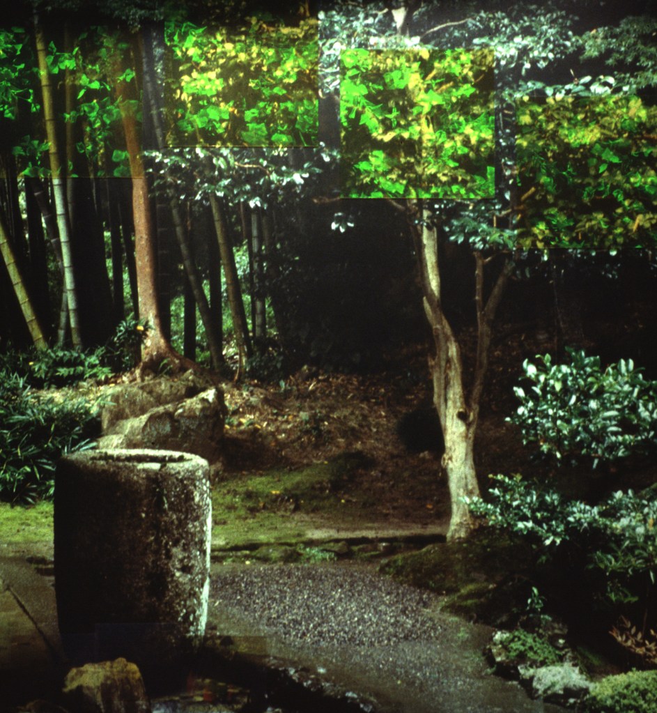 Betsy Connors Acme Holography Ame Niwa