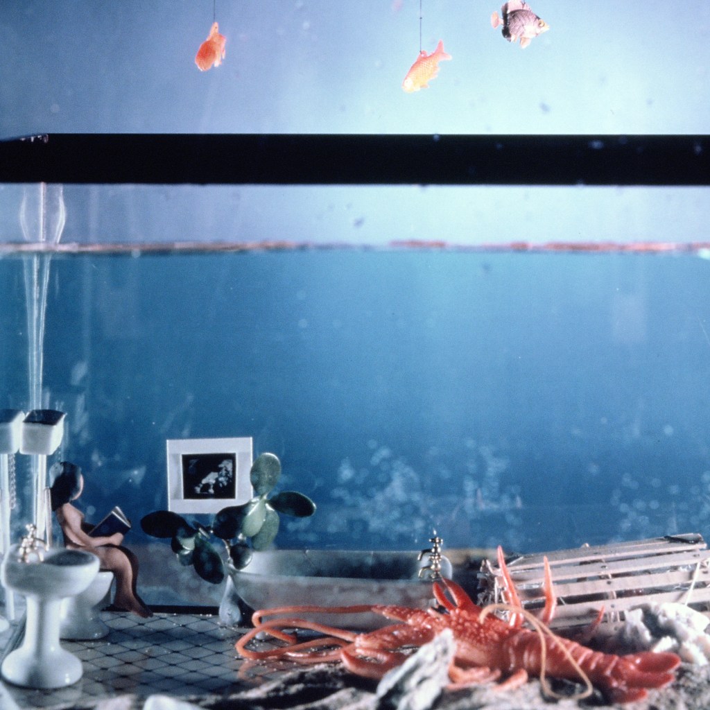 Betsy Connors Acme Holography Polaroid Photograph Seascape