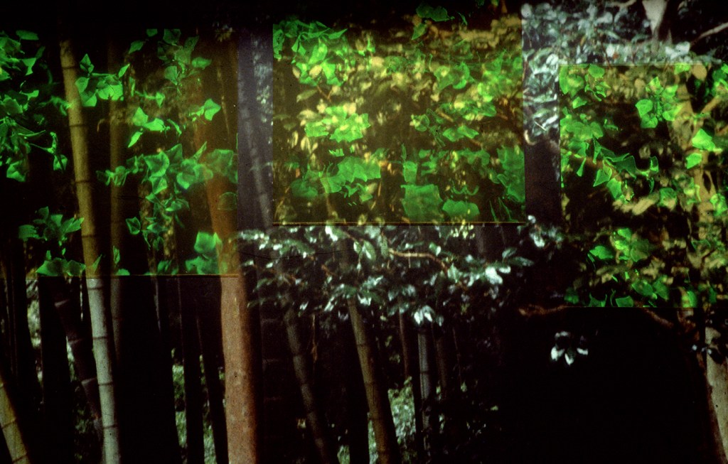 Betsy Connors Acme Holography Ame Niwa