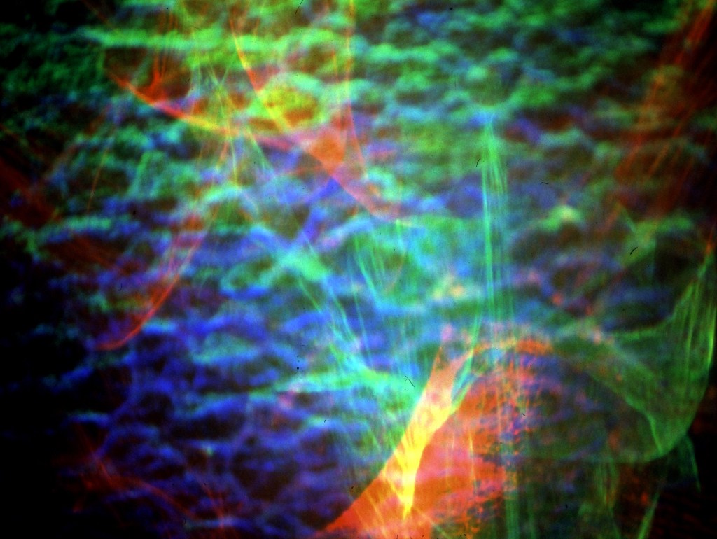 Betsy Connors Acme Holography Light Forest