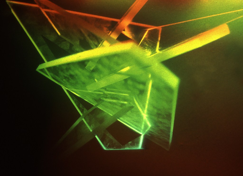 Betsy Connors Acme Holography Star Cores