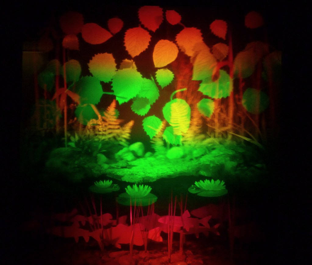 Betsy Connors Acme Holography Light Pond Birch