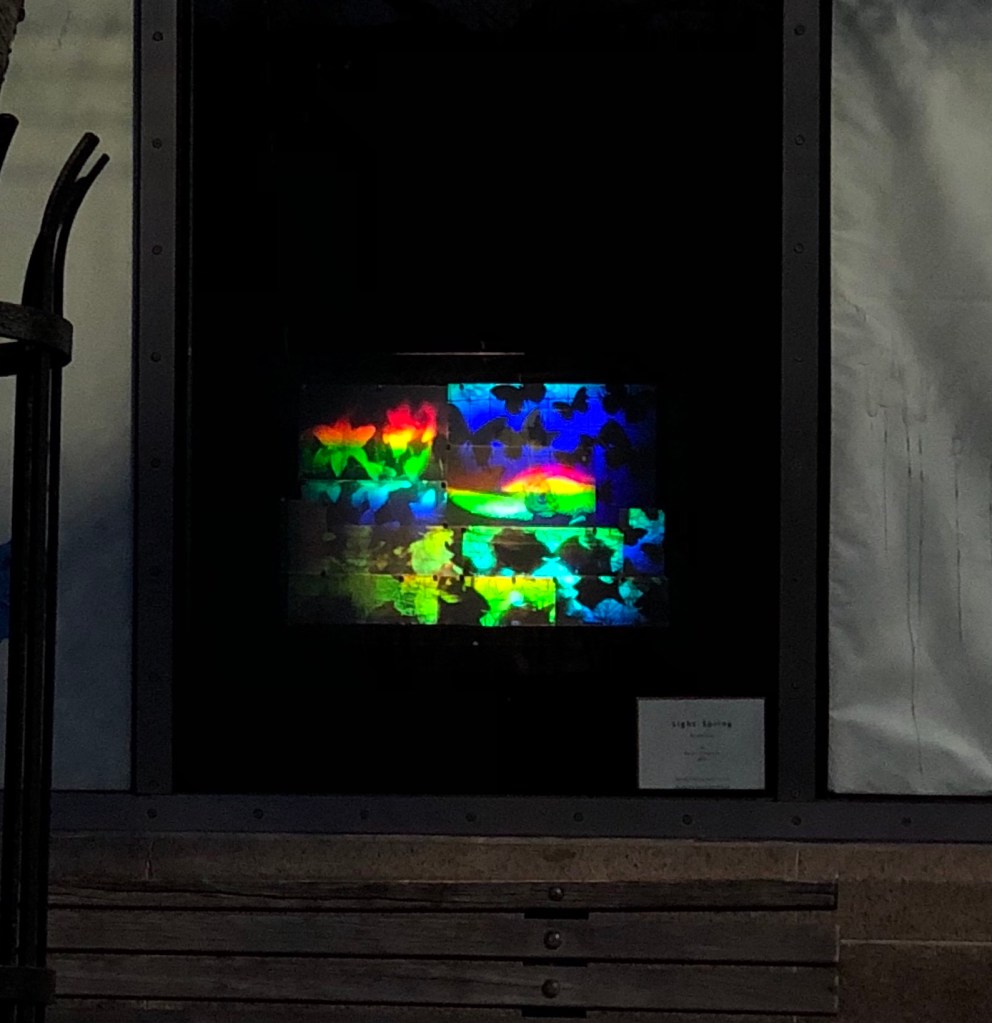 Betsy Connors Acme Holography Light Spring Installation